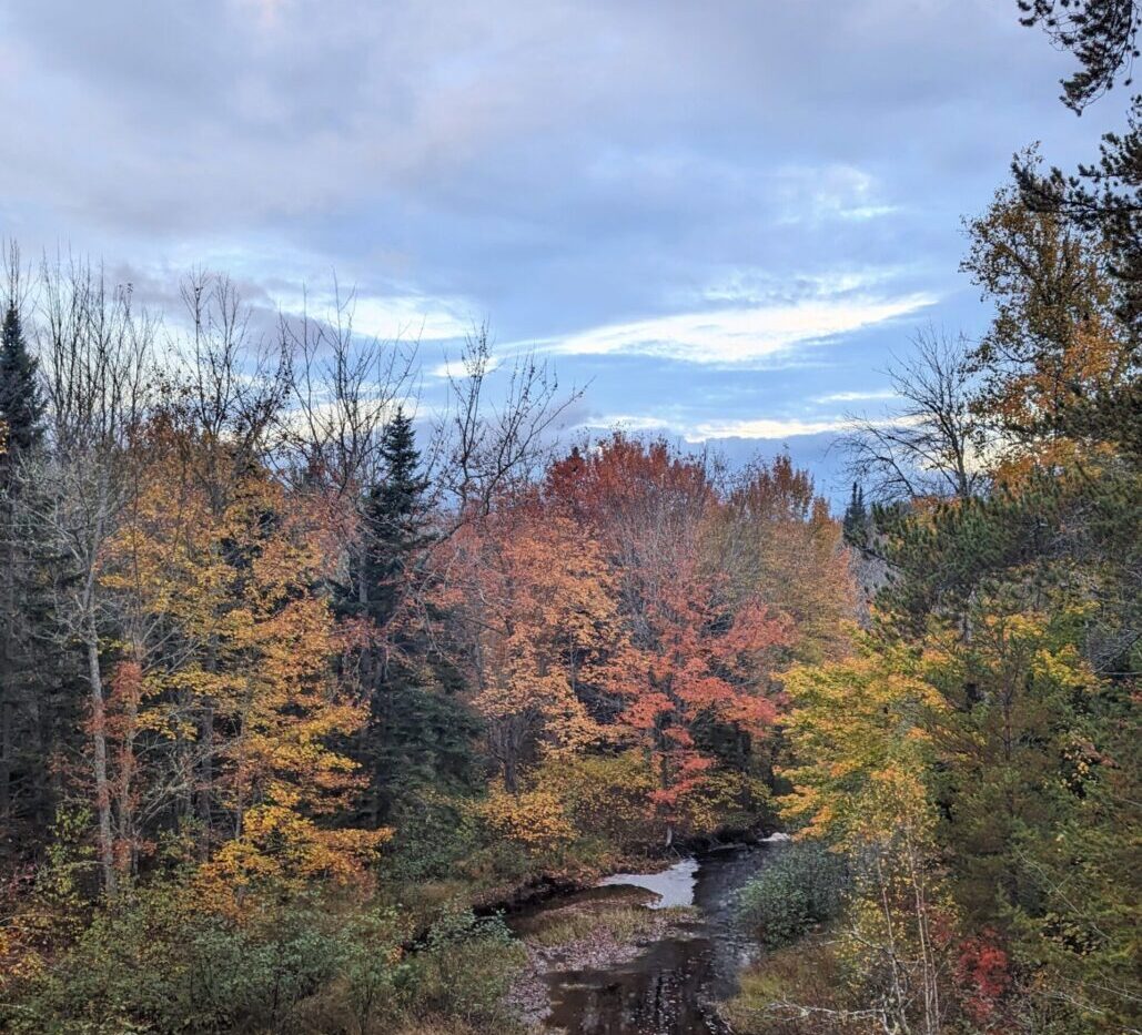 New Brunswick 6 scaled e1758047916571