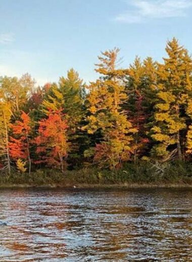 maine_US_4 Ridge Climate Forest